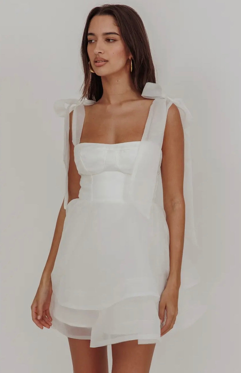 Square Neck Organza Dress