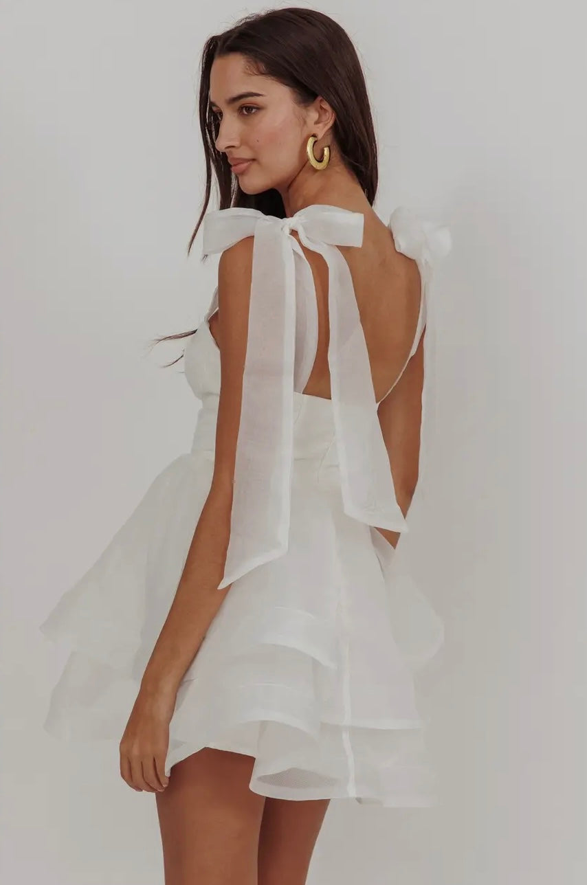 Square Neck Organza Dress