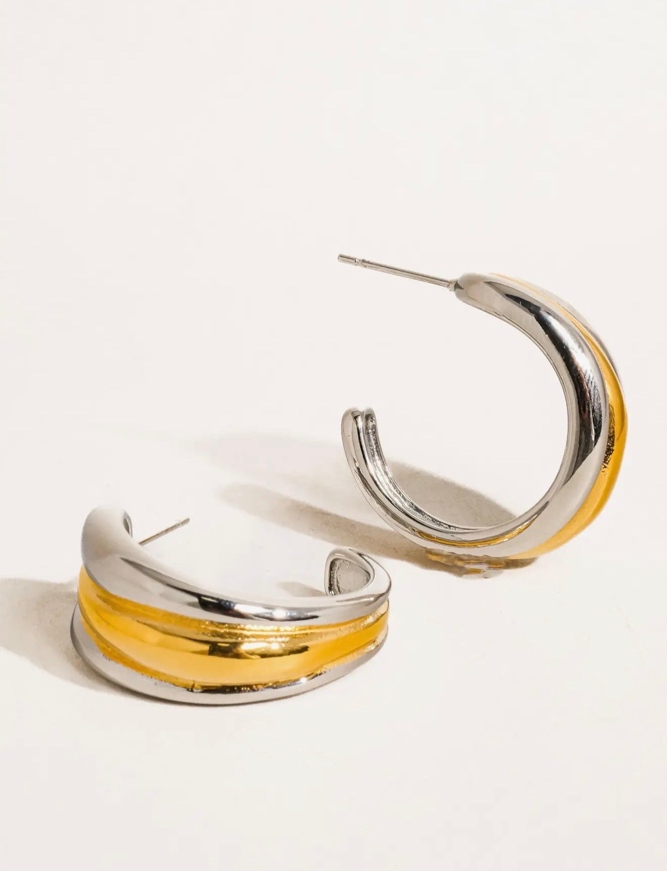 Lazare Two-Toned Earrings