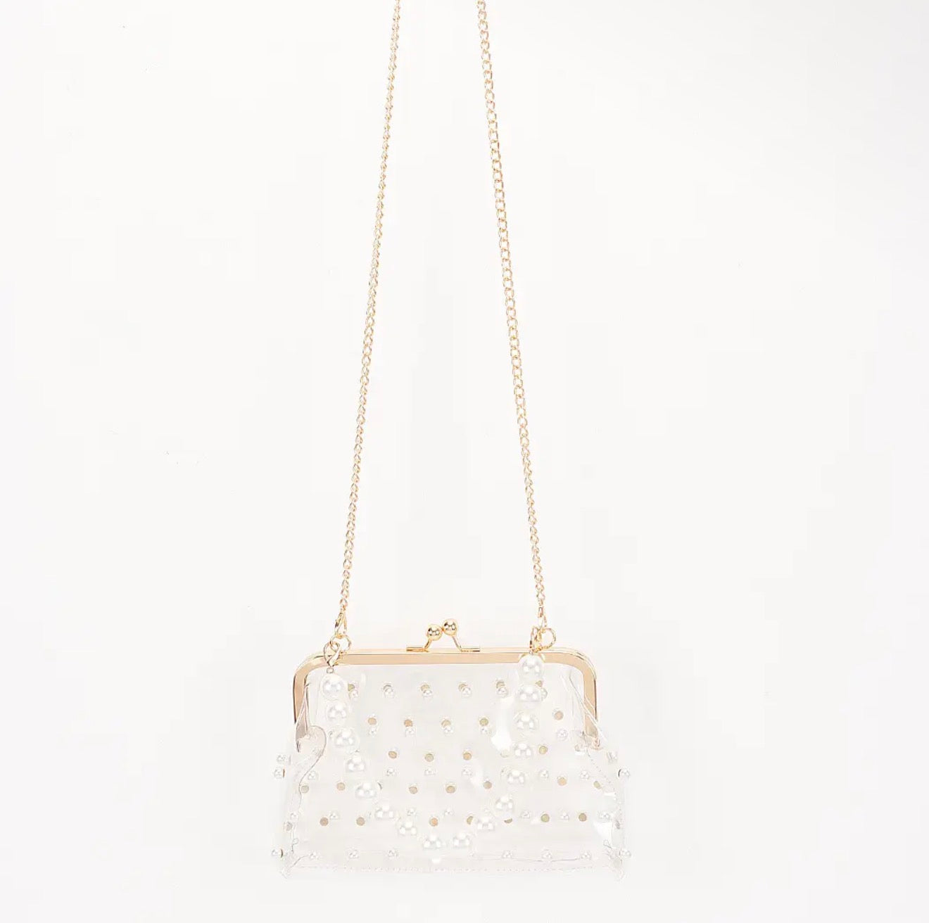 Elsie Clear Purse