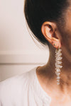 Crystal Drop Earrings