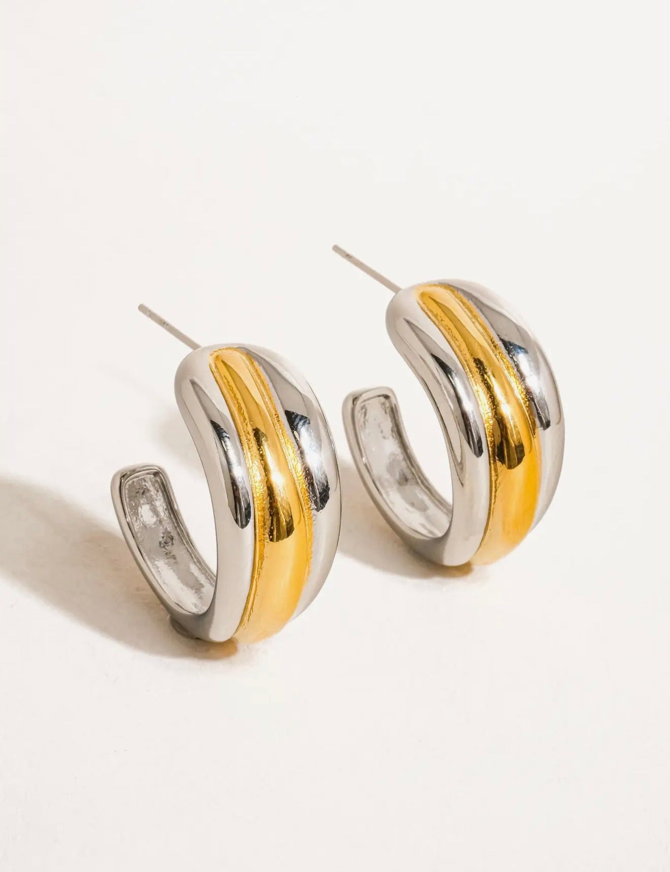 Lazare Two-Toned Earrings