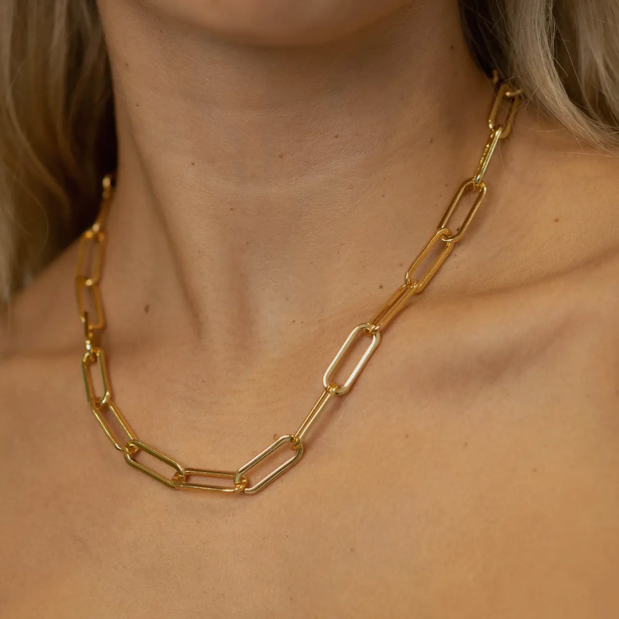 Carolina Paperclip Necklace