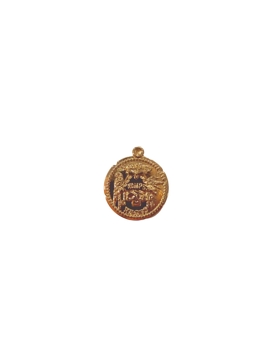 Treasure Coin Charm