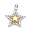 Star Charm